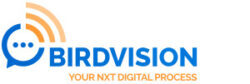Bird Vision Logo